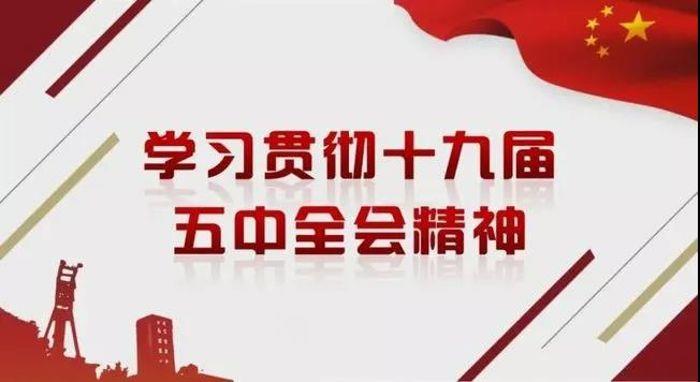 乐鱼新能源党委专题学习研讨党的十九届五中全会精神